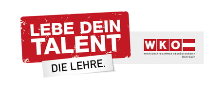 Berufserlebnistag - Lebe dein Talent WKO